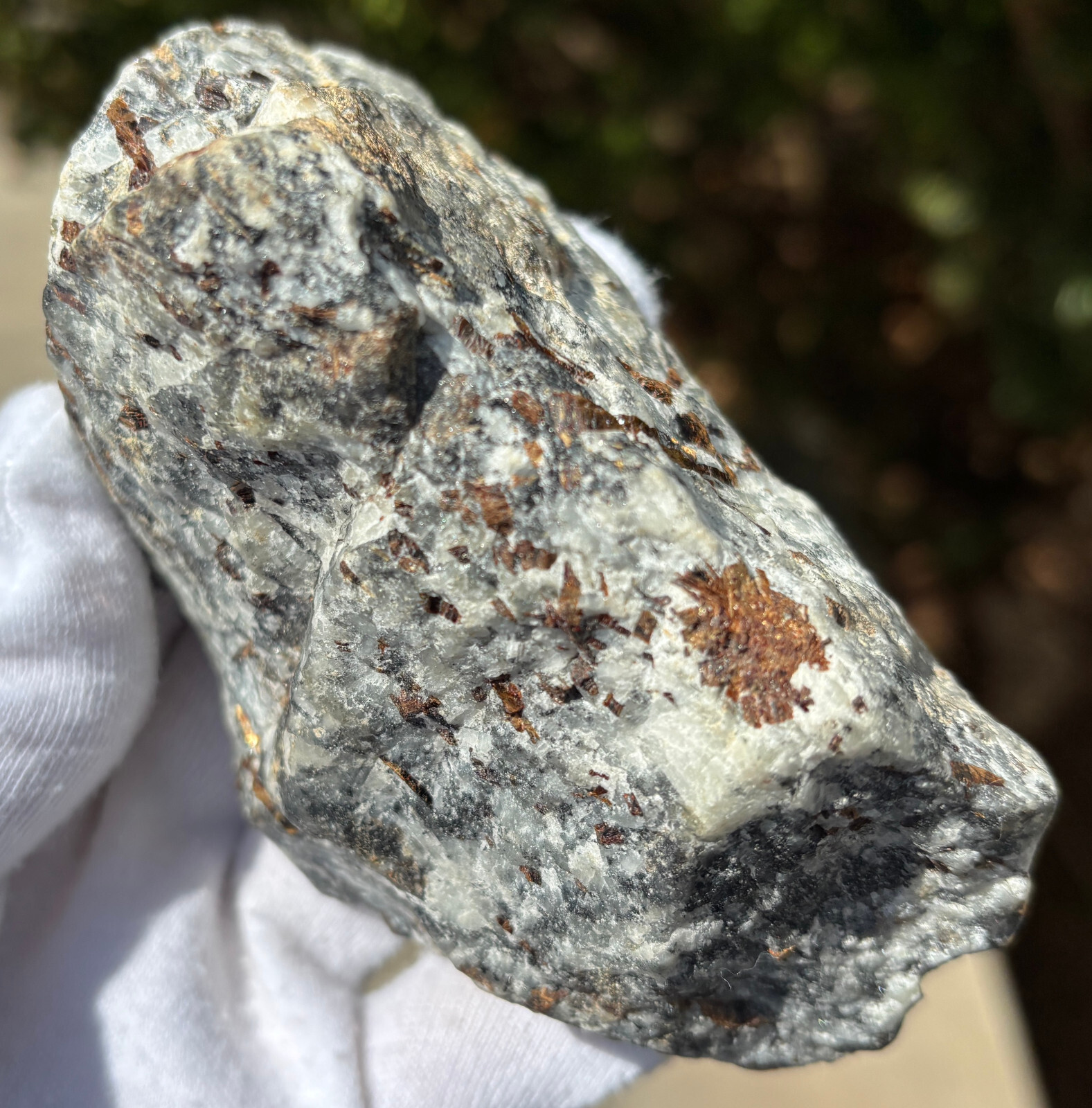USA SALE SEE VIDEO 4″ 309g 2/3LB AUTHENTIC ASTROPHYLLITE ROUGH SPECIMEN LAPIDARY
