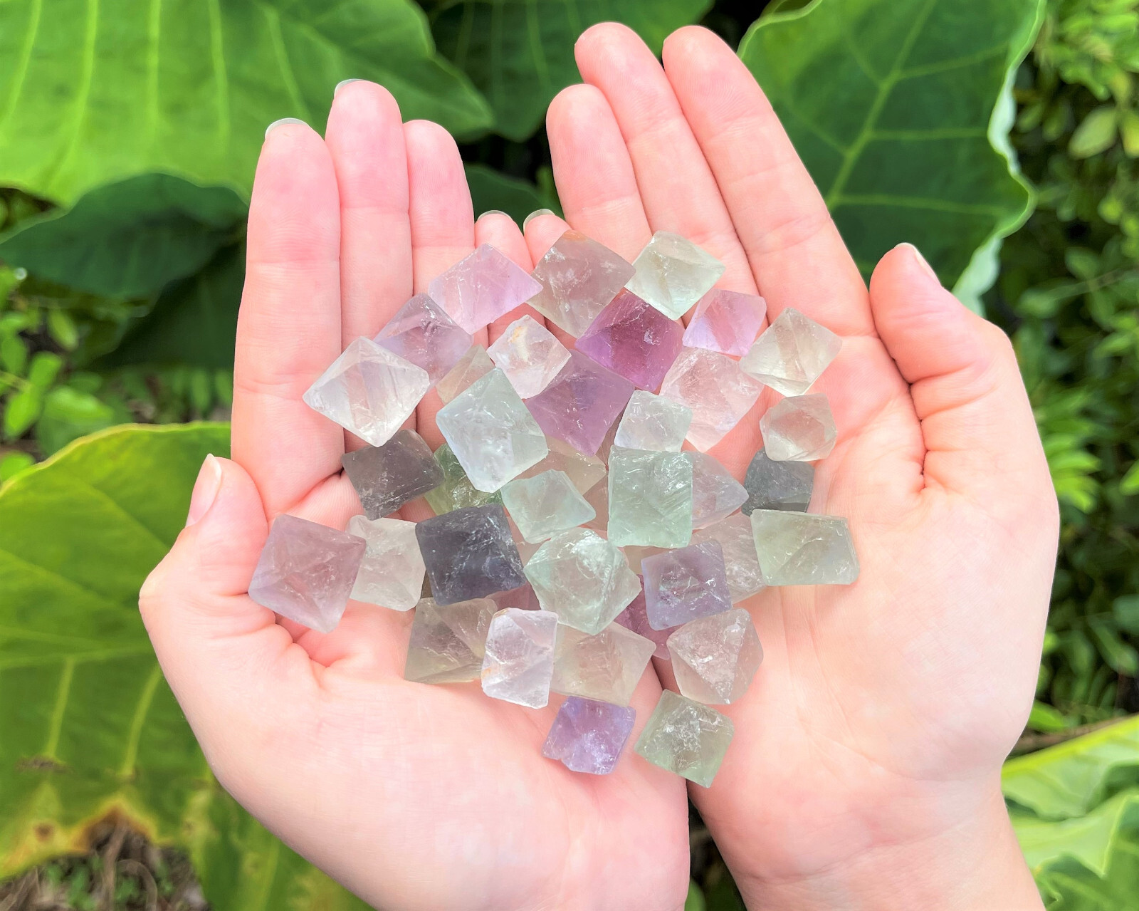 8 oz Fluorite Octahedron Natural Raw: ‘A’ Grade Specimens 1/2 lb