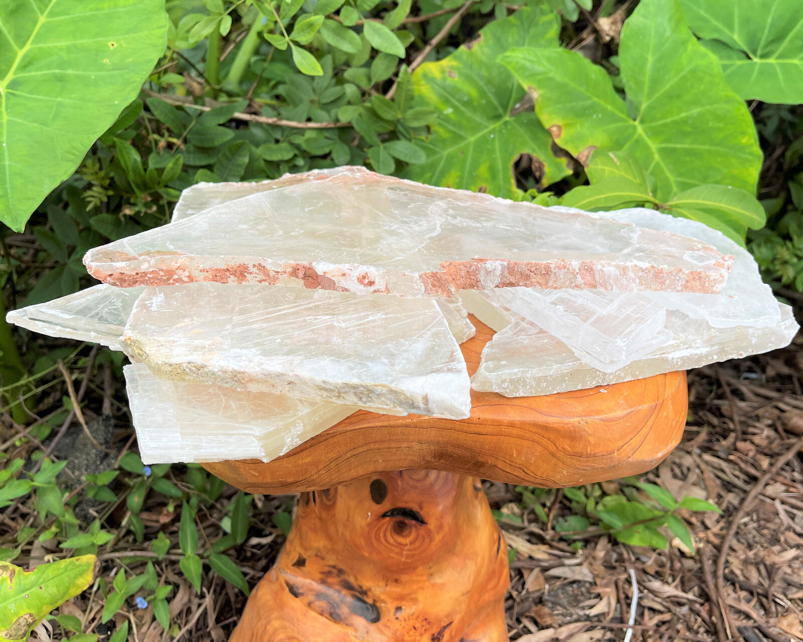 JUMBO Natural Selenite Slabs & Stand! Raw Selenite Slice, Selenite Crystal Plate