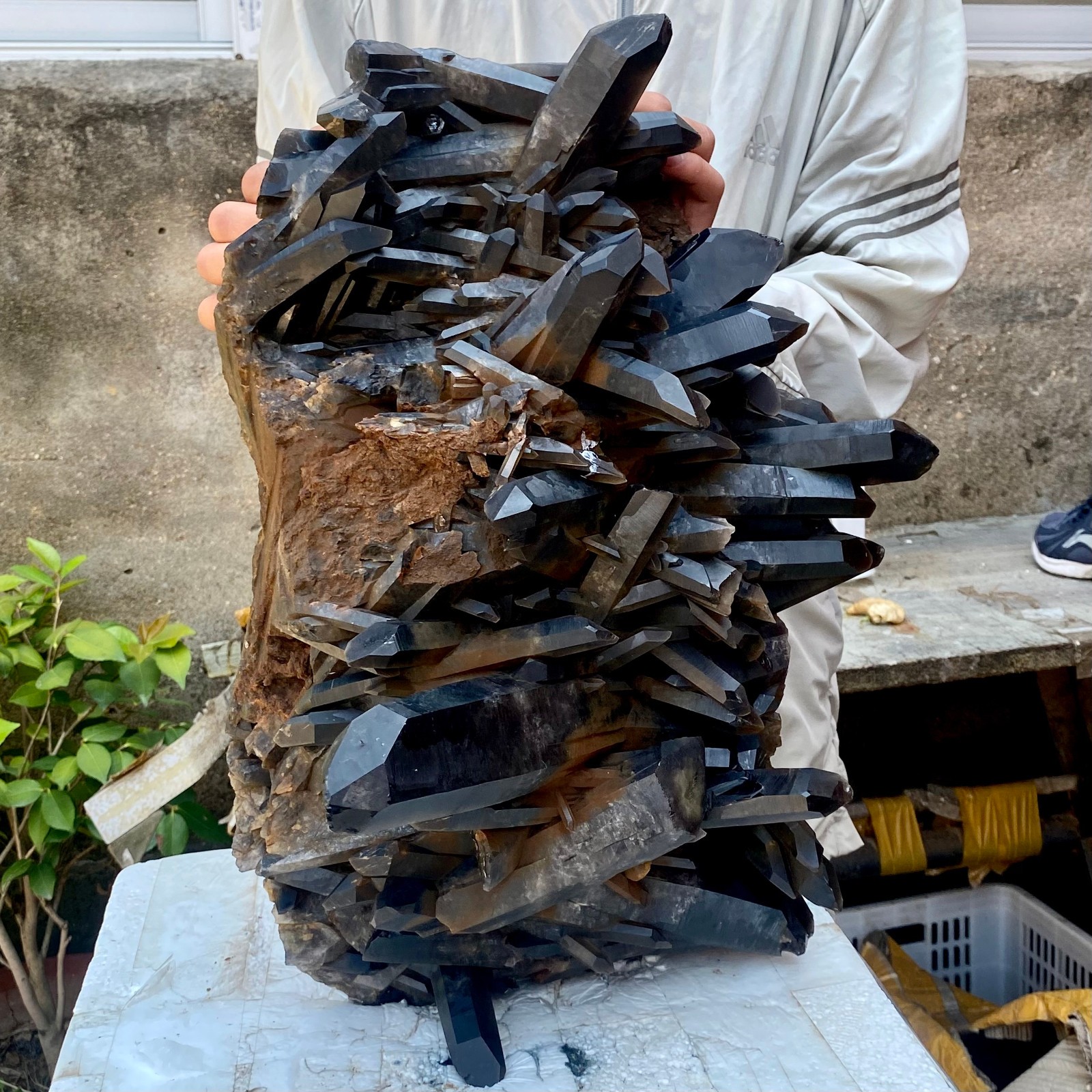 57LB Tea black Crystal quartz Cluster Mineral Specimen Healing reiki