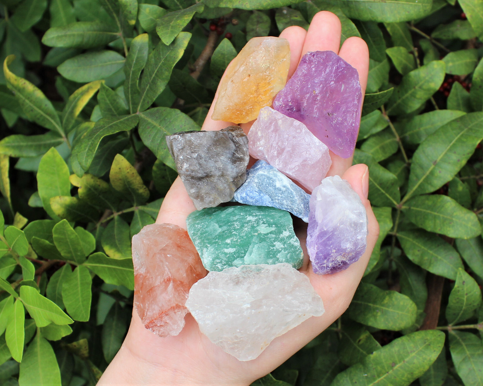 Mixed Quartz Crystal Set: 8 Different Natural Rough Quartz Stones (Bulk Lot)