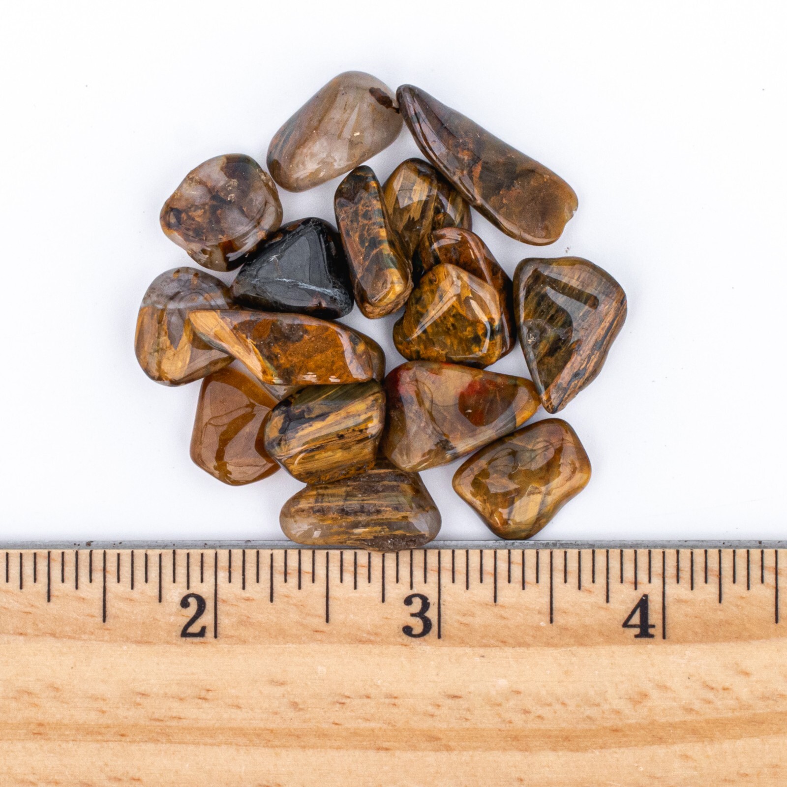 25g Tumbled Lionskin Gemstone Crystals 10-30 Stones Bulk Gems Wholesale Rocks