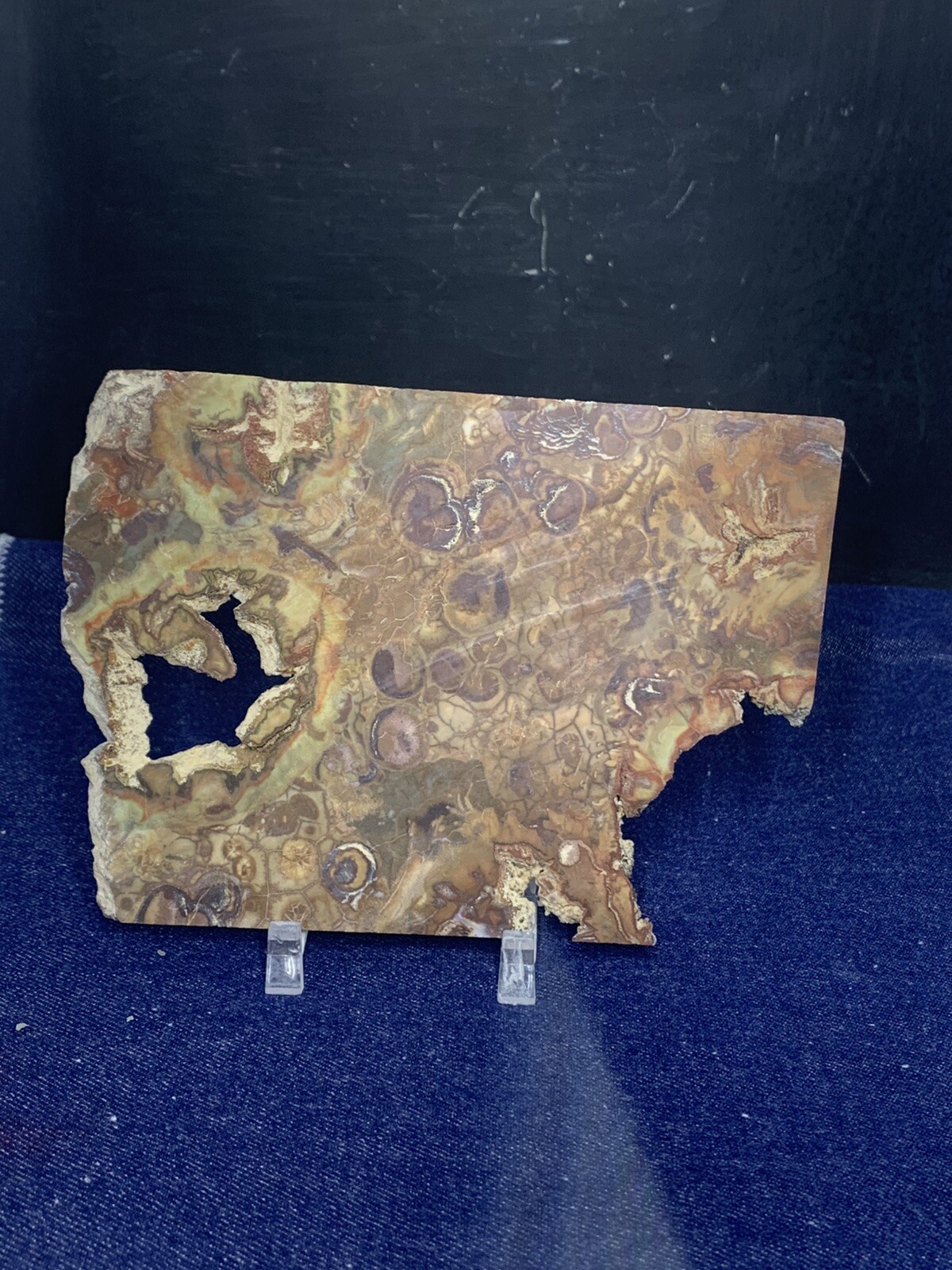 Spiderweb Jasper Slab Unpolished ( Washington)