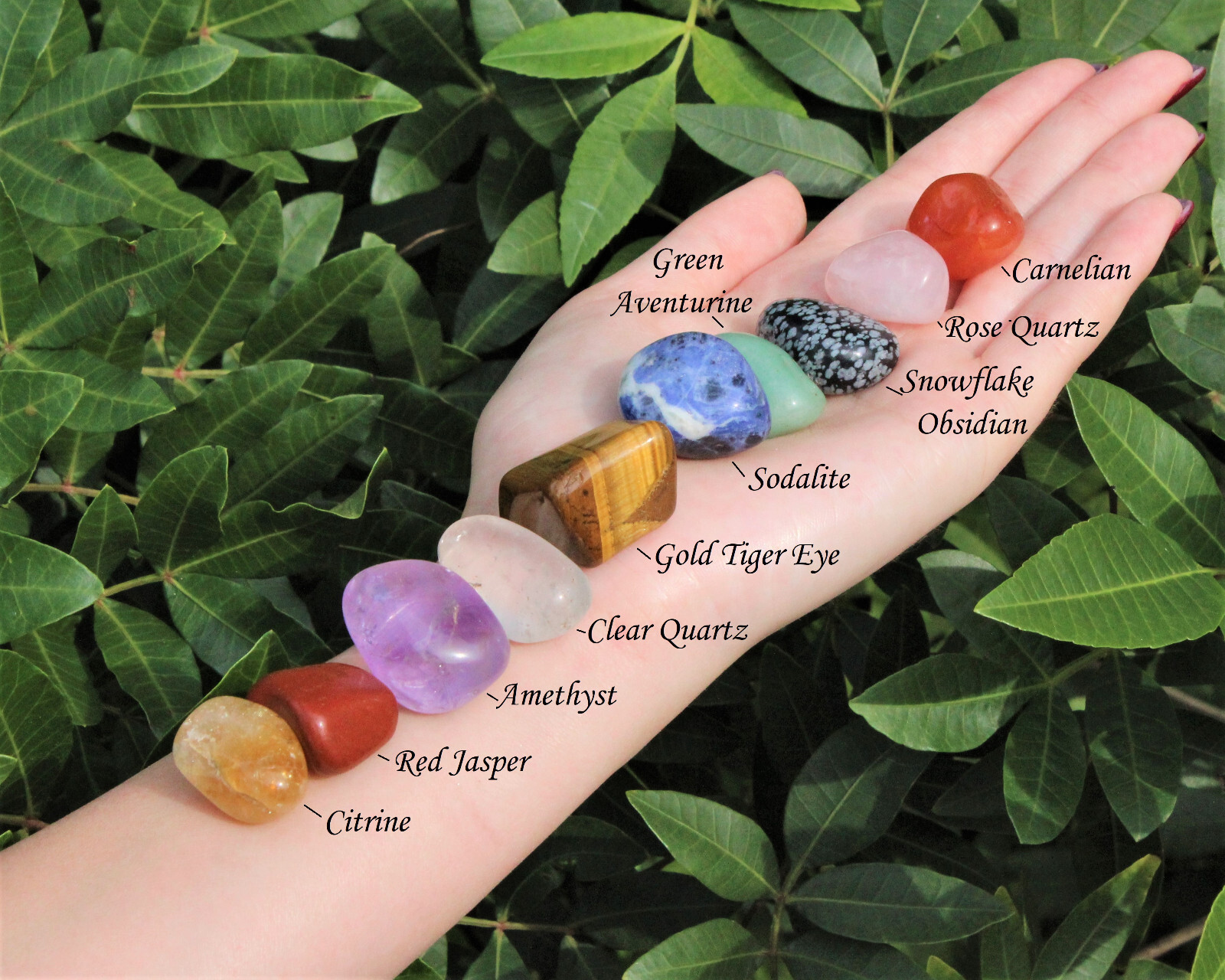 Beginners Crystal Kit, 10 pcs In Velvet Pouch – Most Popular Tumbled Crystals