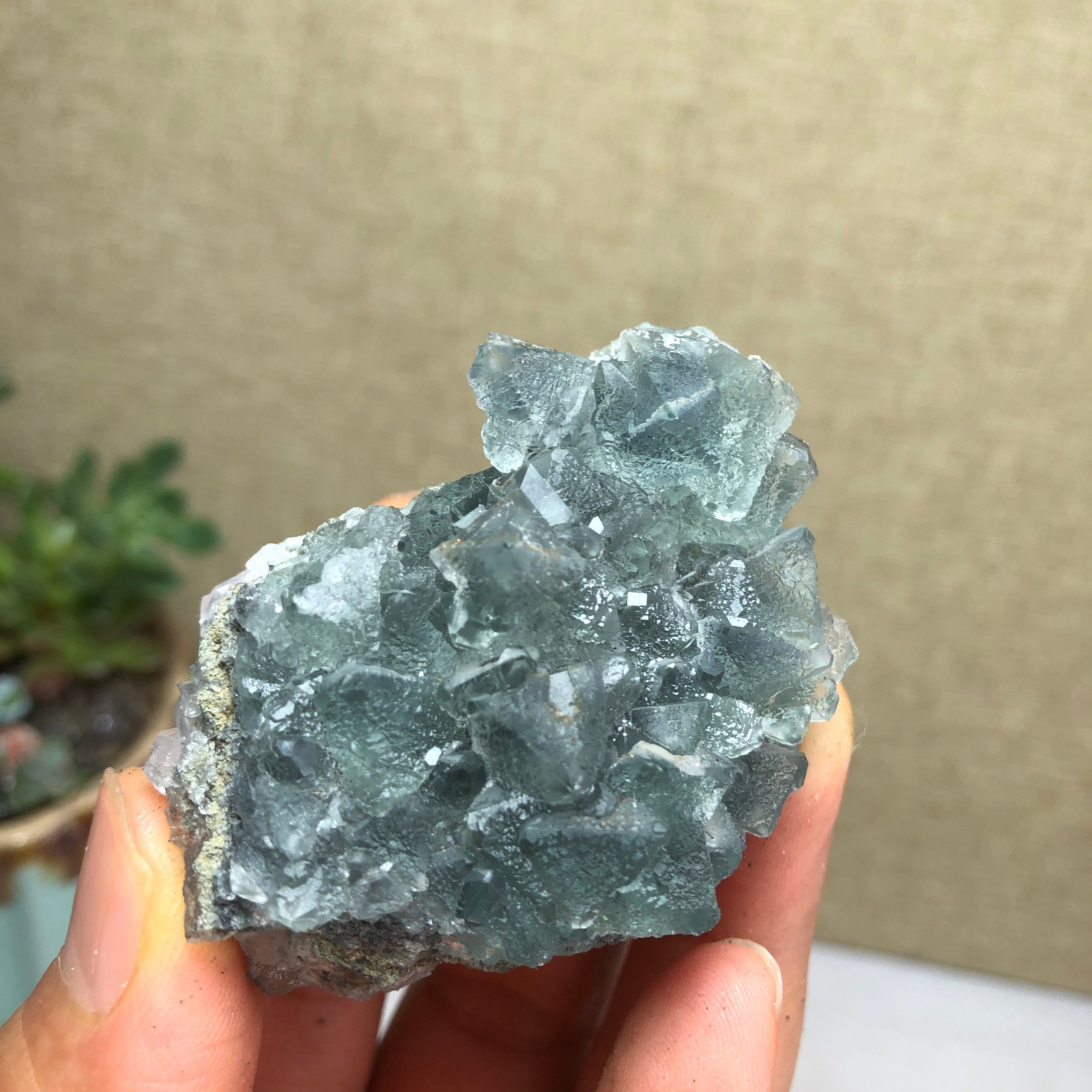 70g NATURAL Green Cubic FLUORITE Crystal Cluster Mineral Specimen A4740