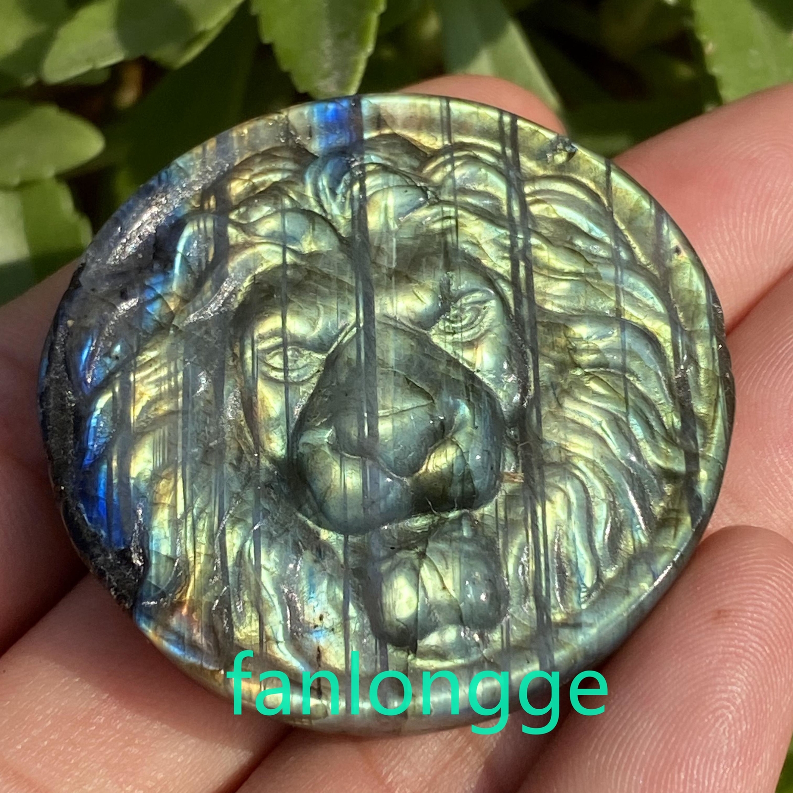 1pcs Natural Labradorite Lion skull Quartz Crystal Skull Carved Figurines 1.7″