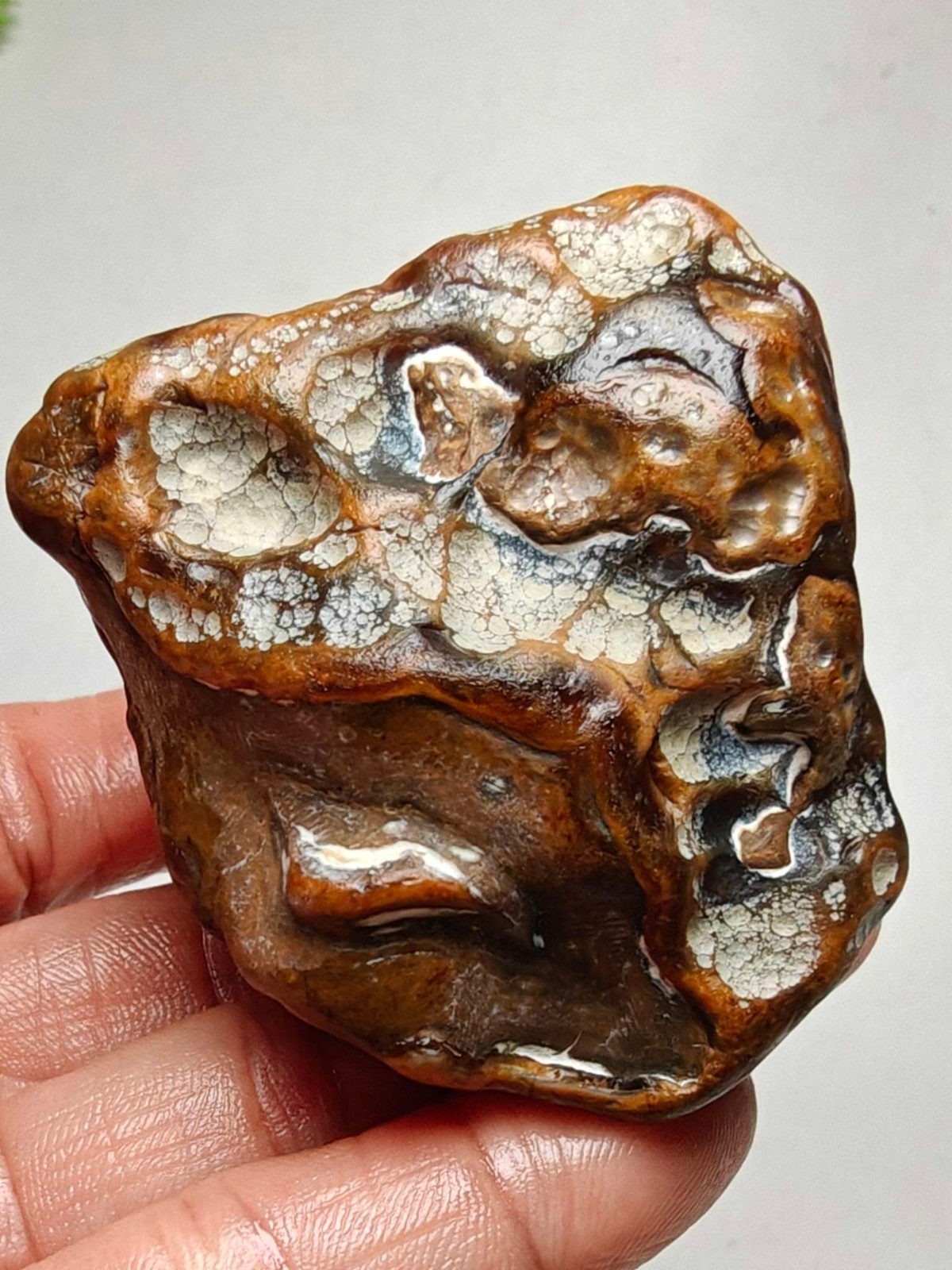 Rare China Inner Mongolia Gobi Eye Agate Stone Specimen Natural Designer 152G