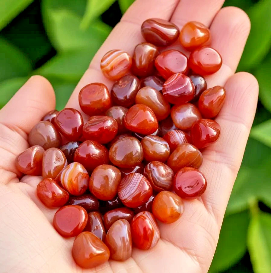 10PCS 0.5”Carnelian Tumbled Stone Ideal for Reiki Jewelry making Healing Stone