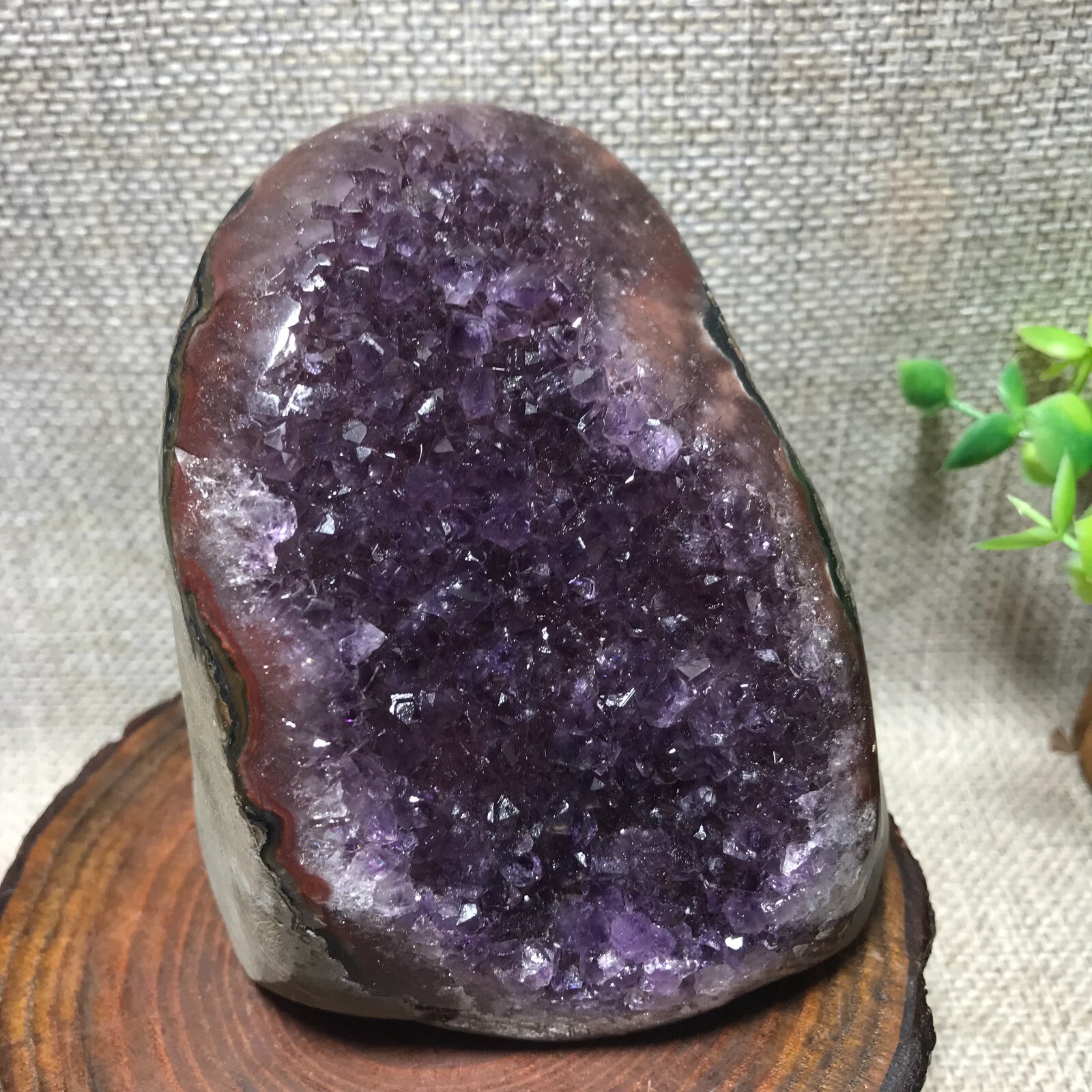 785g Natural Amethyst Cluster Geodes Cut Base Quartz Crystal Healing Specimen 66