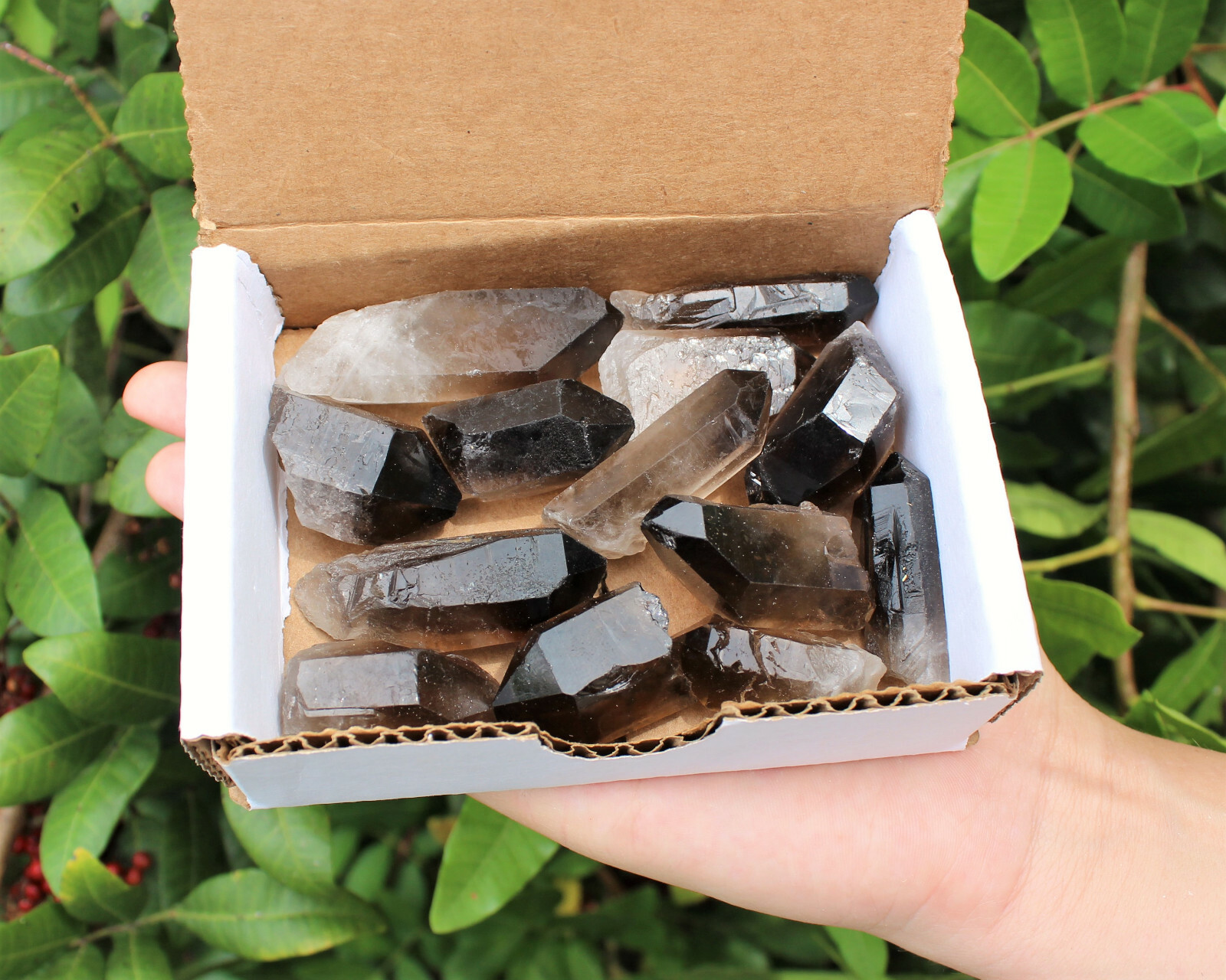 1/2 lb (8 oz) Smoky Quartz Crystal Points, Box Lot (0.75″ – 2″, Smokey Quartz)
