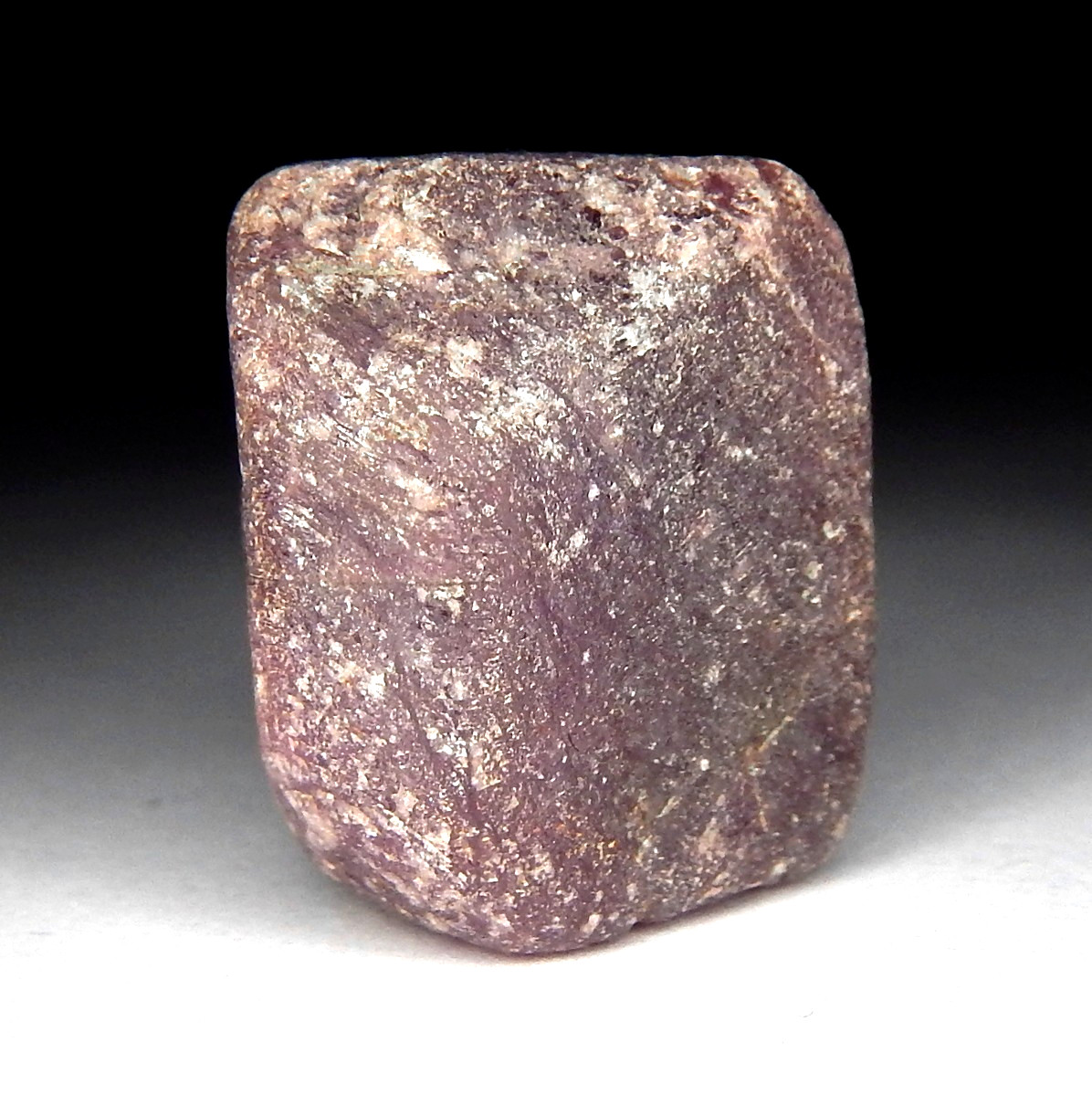74.7ct Natural Mined Red Ruby Unheated Terminated Rough Column Collector Grade