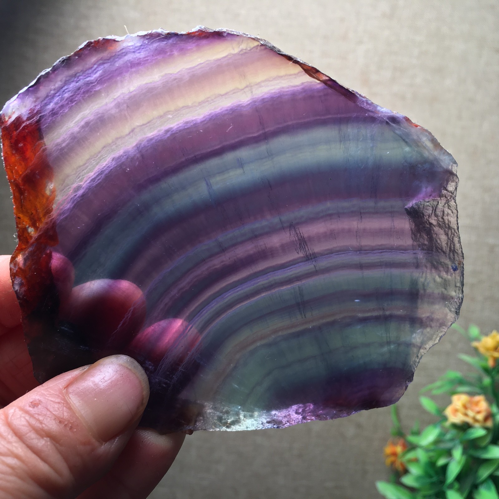 205g Natural Fluorite Crystal Rough stone specimens China fb1461