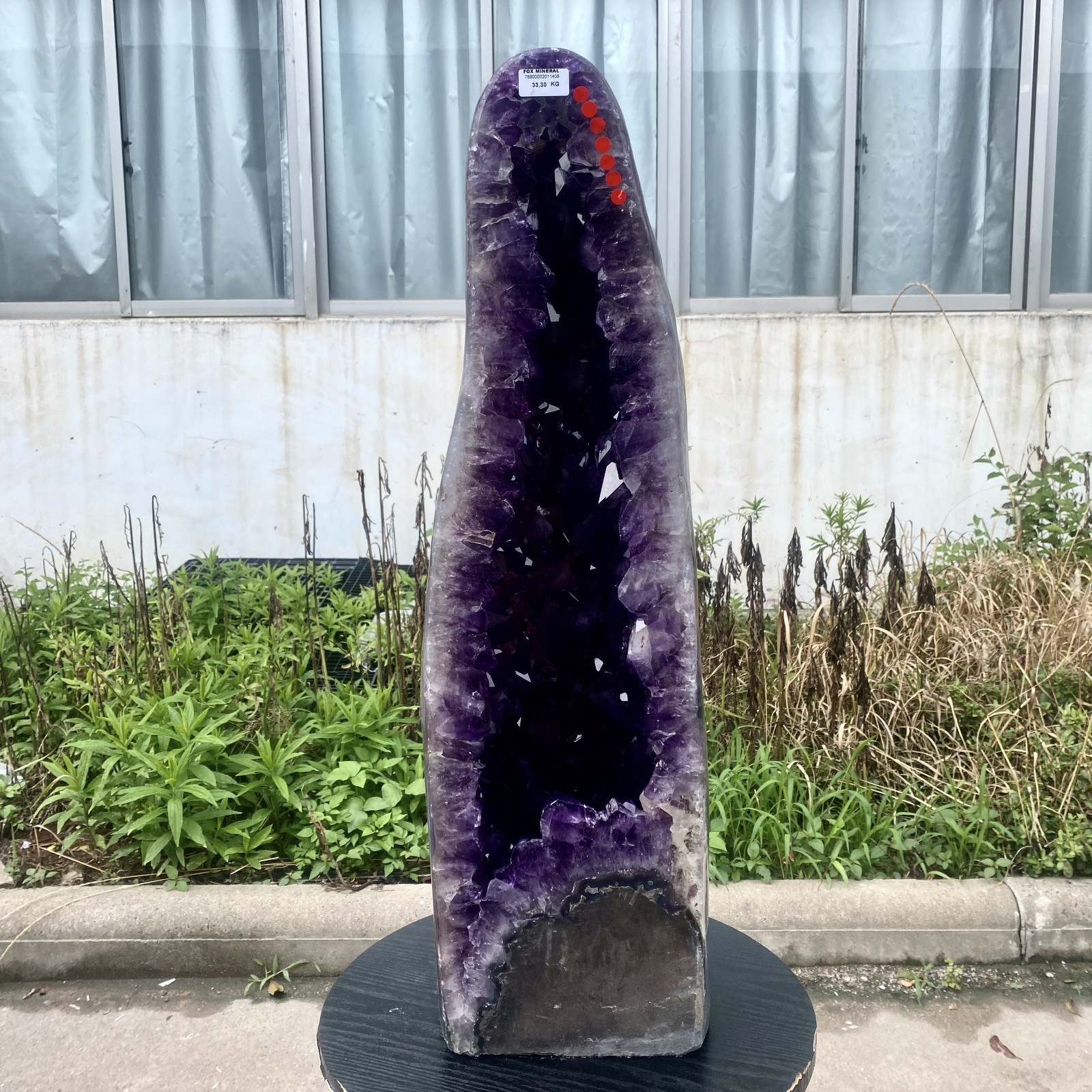 72LB Top Natural Amethyst quartz Crystal Church Cathed Crystal Wand Reiki ener