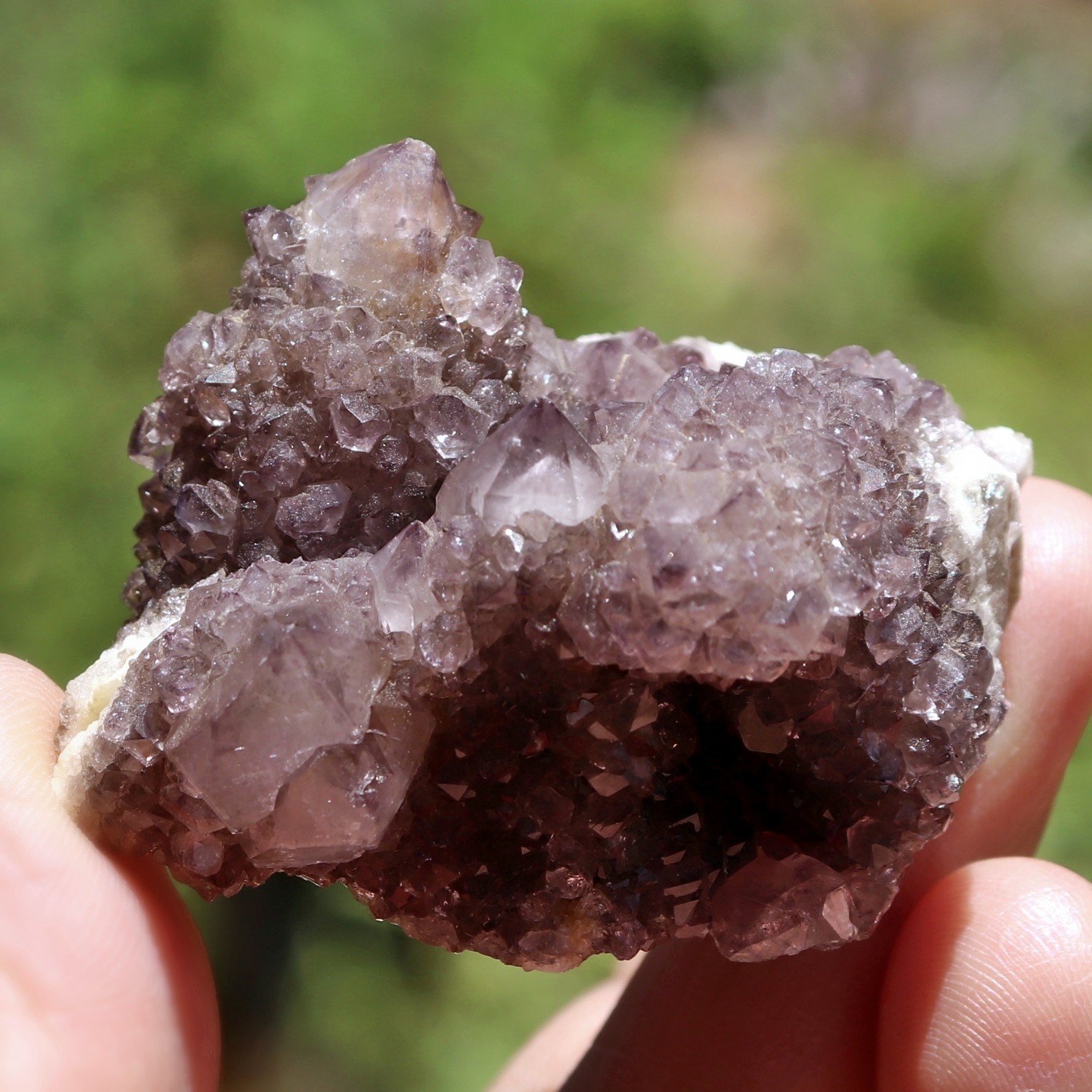 Excellent Quality Spirit Quartz, Cactus Quartz, Amethyst (QTZSP3)