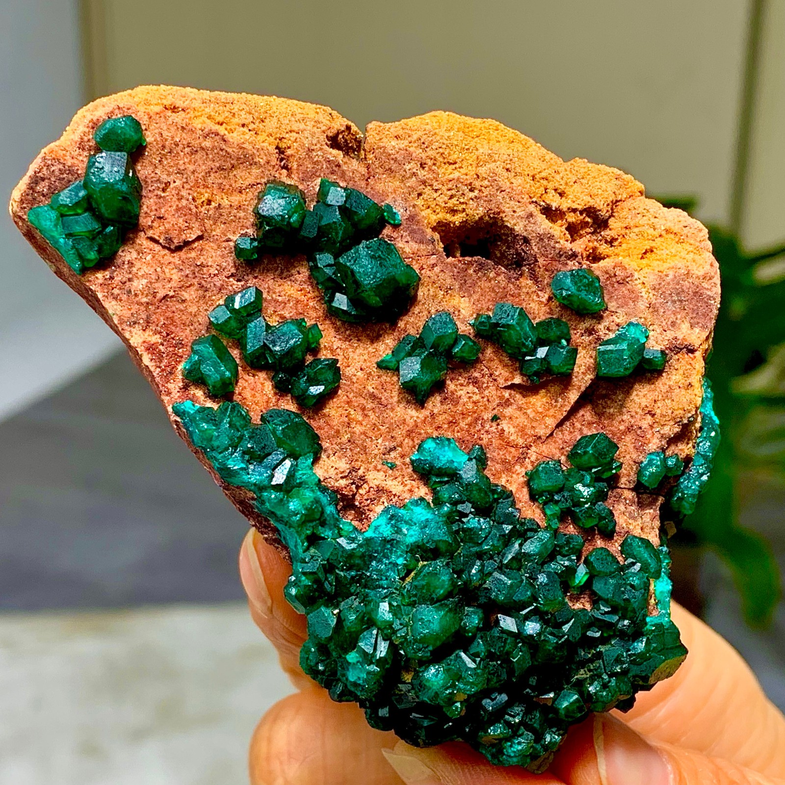 205G Natural Deep Green Grainy dioptase gemstone cluster mineral specimen