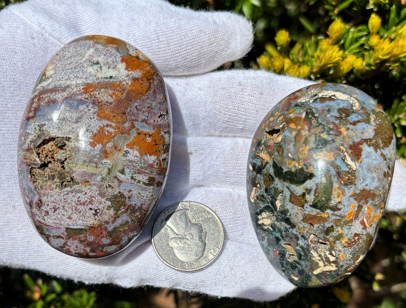 USA SALE 242g LOT OCEAN JASPER OJ PALMSTONES PALM STONES Palm Stone