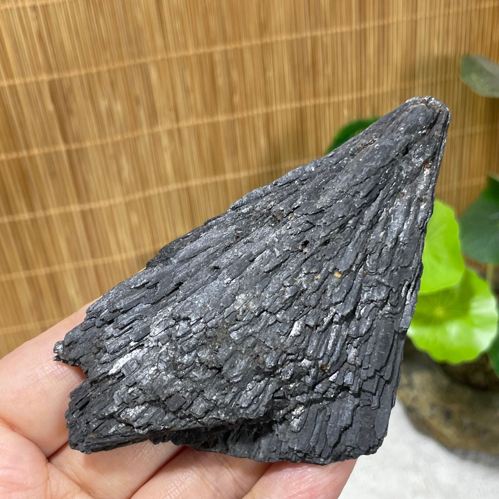 75g Natural Irregular natural black crystal cluster mineral specimen（dian qishi）