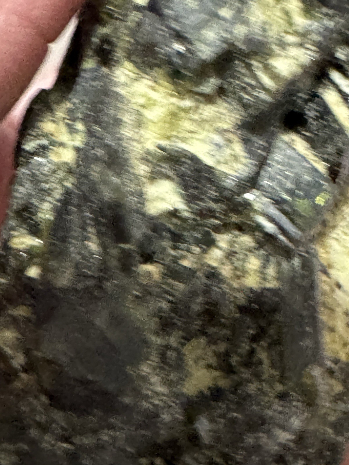 Epidote Crystal Specimen