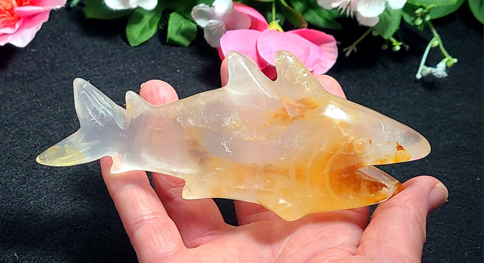X Large 5.6″ Unique 252g Golden Healer Quartz Shark Sea Crystal Carving
