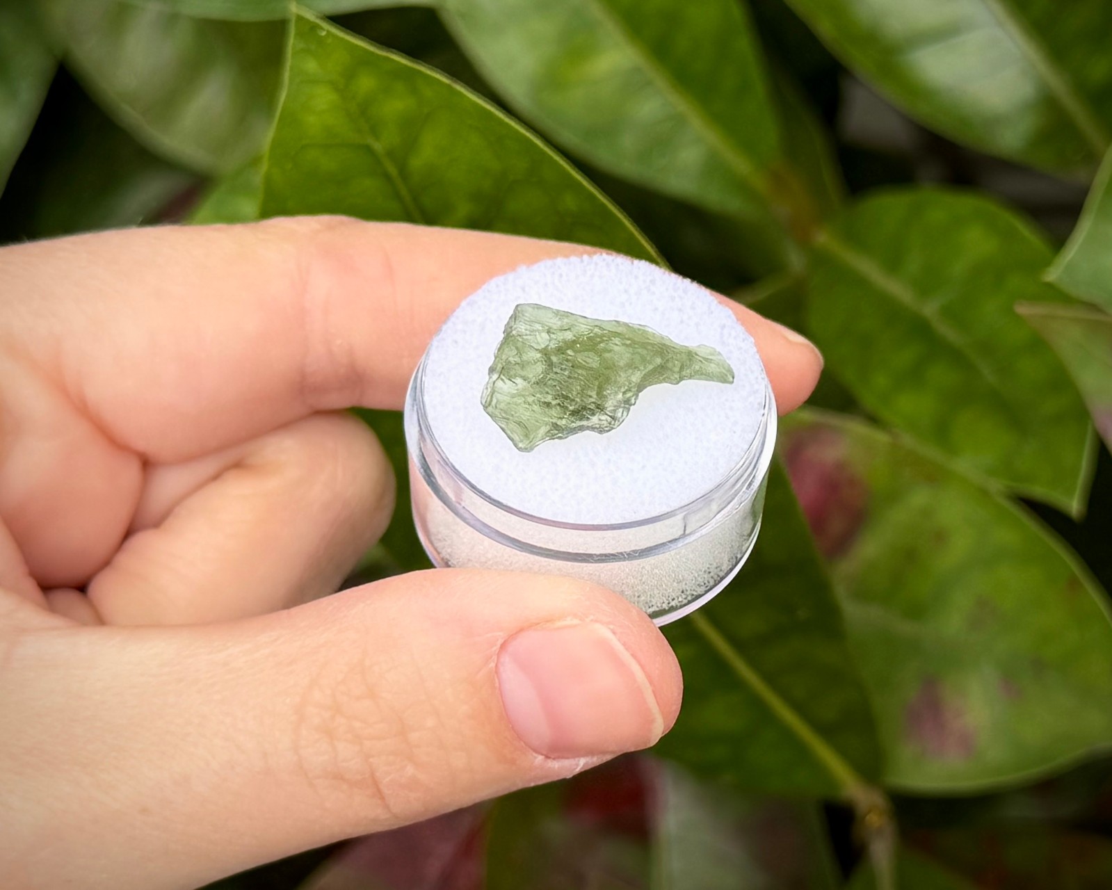 Natural Moldavite Crystals – 100% Genuine Moldavite From Czech Republic