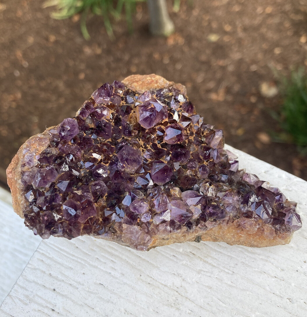 171g Rare DARK PURPLE AMETHYST SPIRIT QUARTZ Fairy Cactus Crystal Cluster 3.85″