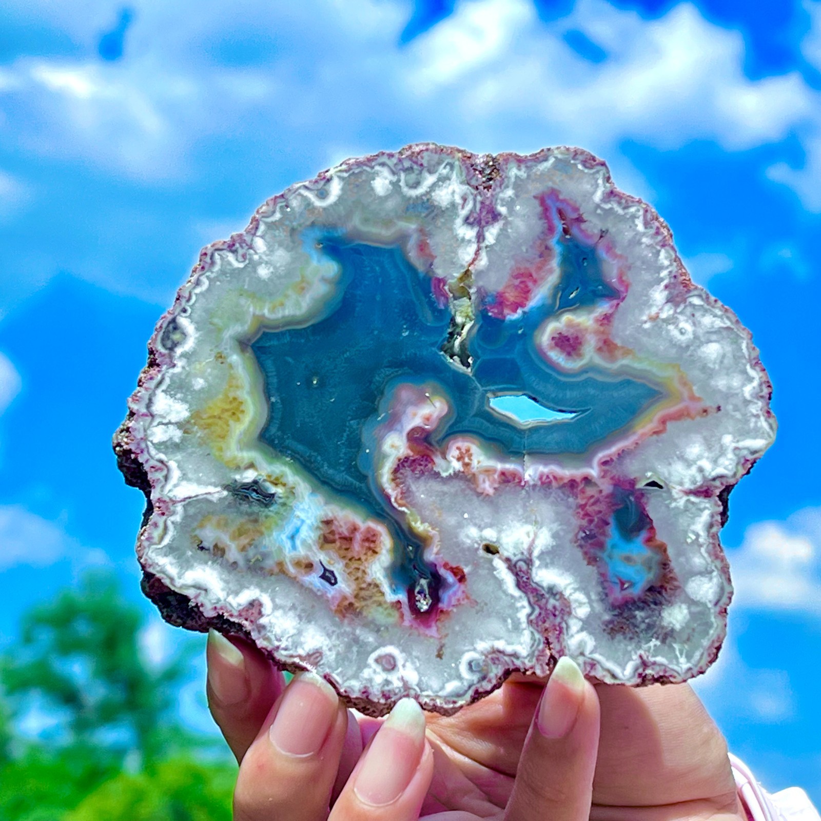 241G Natural Colorful Lace Agate Geode Slice Extra Large Gem From Argentina