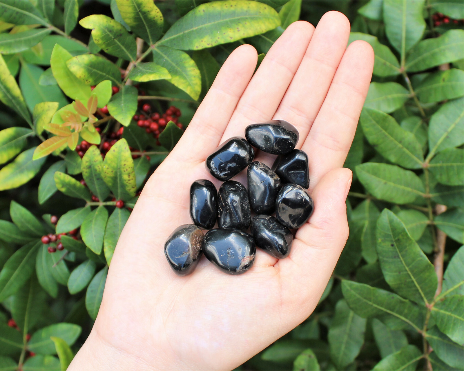 1/4 lb Bulk Lot Black Onyx Tumbled Stone Crystal Healing Gemstone Reiki 4 oz