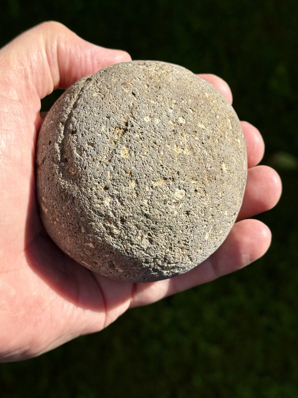 NATURAL SPHERICAL RHYOLITE OR SANDSTONE? CONGLOMERATE ROUND SPHERE STONE ROCK CA