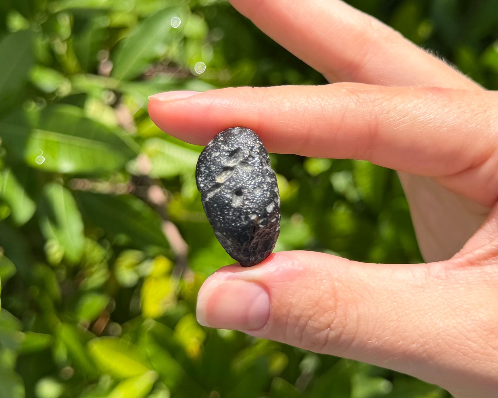 Genuine Indochinite Tektite Crystals – Natural Tibetan Tektite Specimens