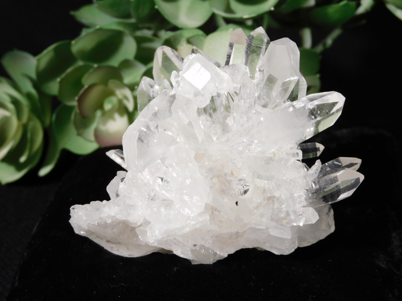 VERY TRANSLUCENT Quartz Crystal Cluster Collier Creek ARKANSAS 135gr