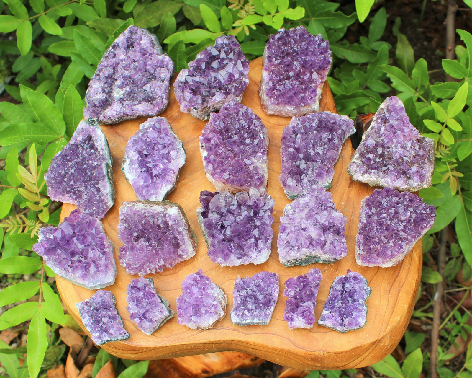 Amethyst Geode Druzy Crystal Quartz Cluster Natural Specimen: You Choose Size!