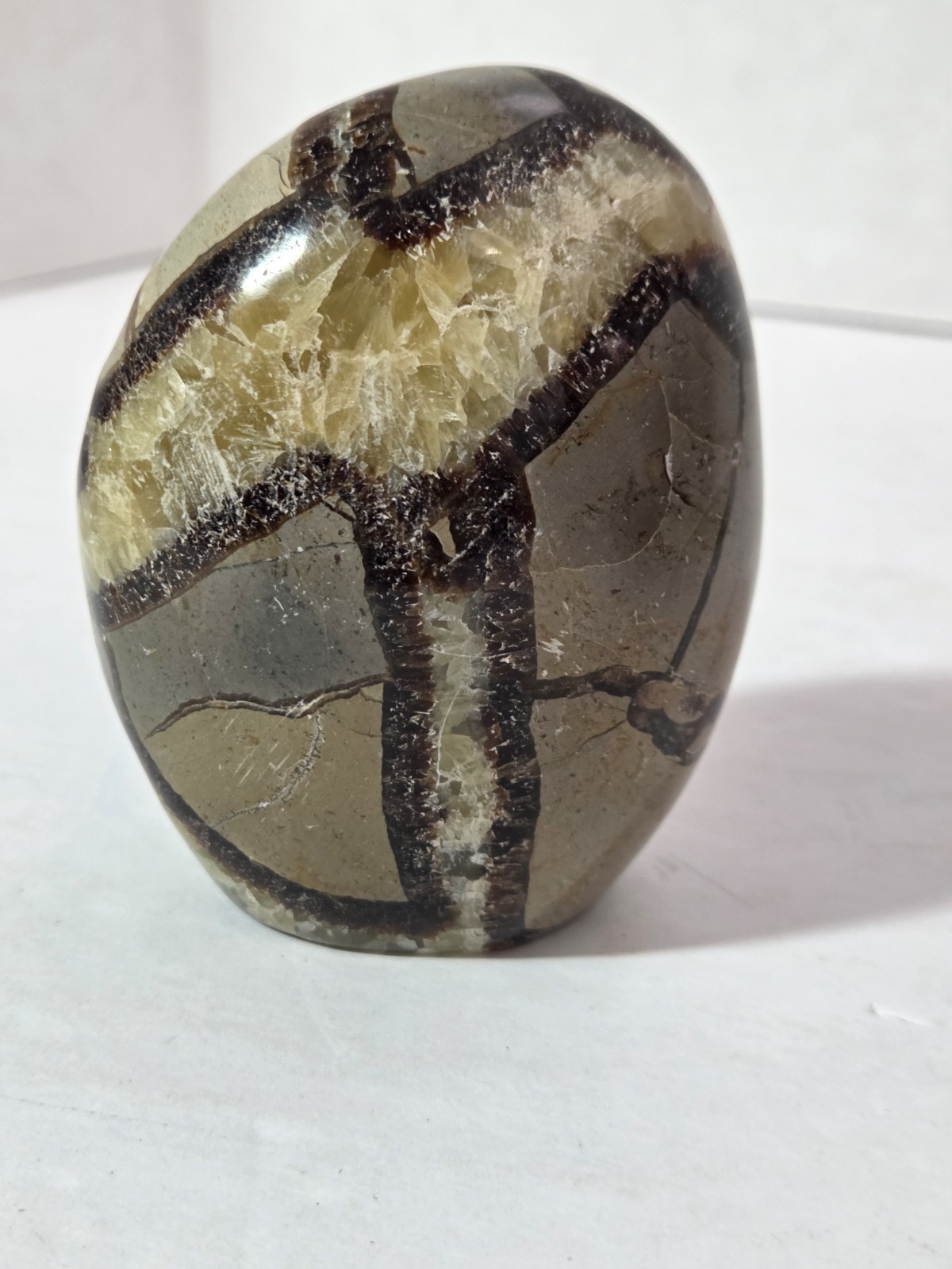 Septarian Polished Egg Prime Specimen Crystal Stone Mineral 8.61 Grams