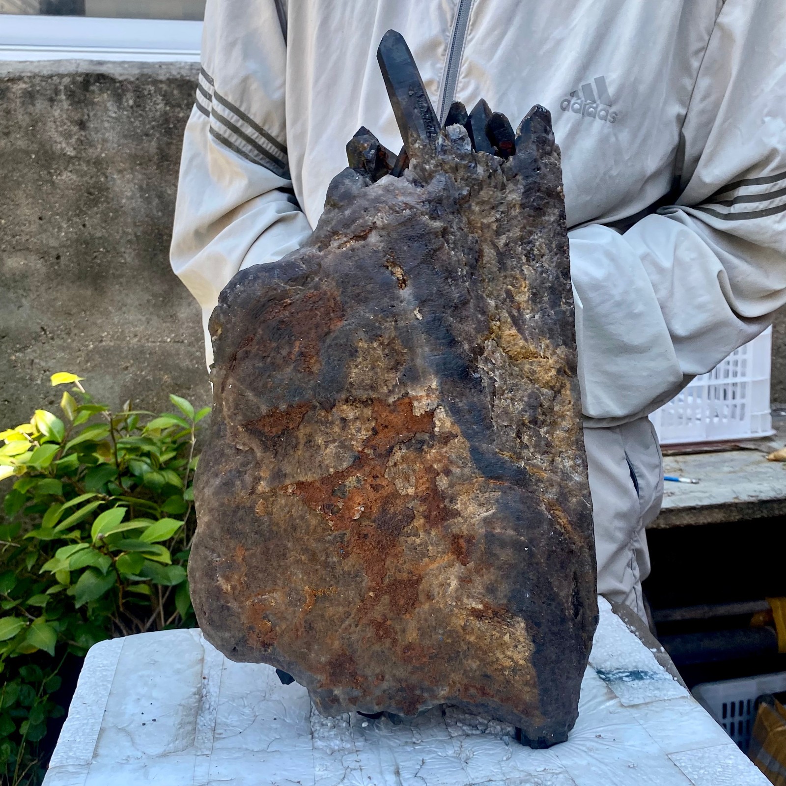 26LB Tea black Crystal quartz Cluster Mineral Specimen Healing reiki