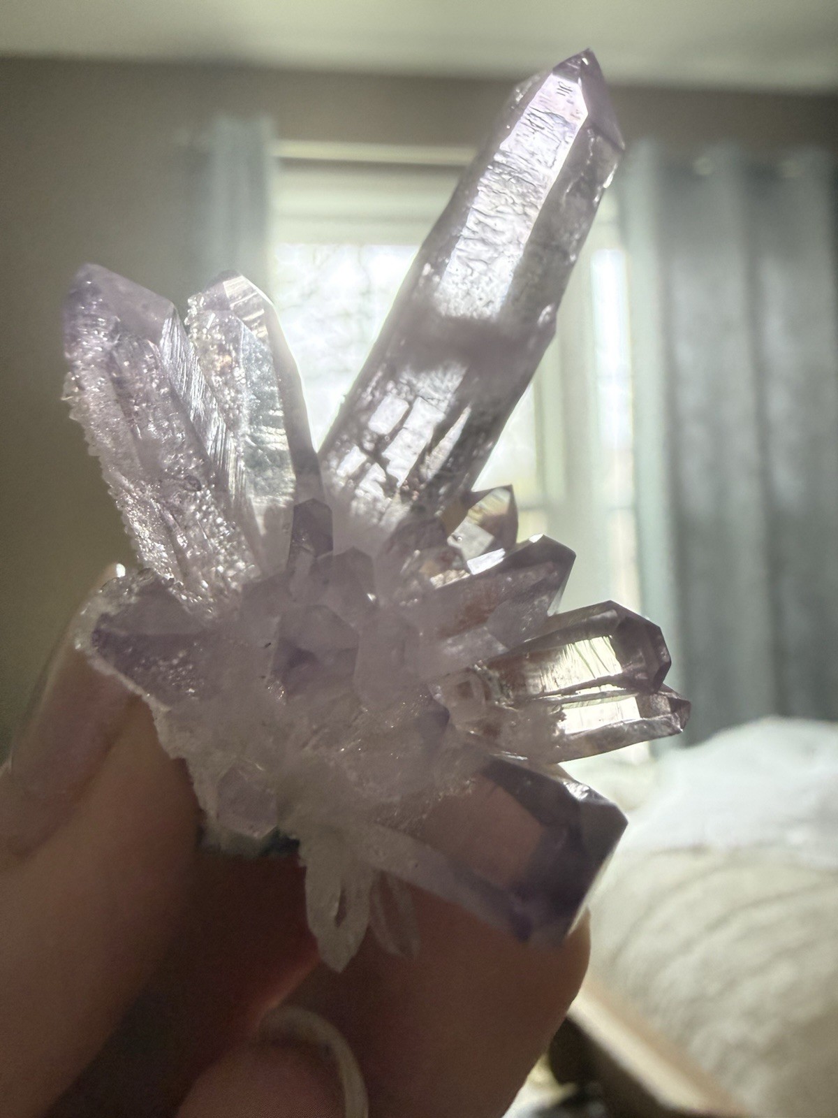 Veracruz amethyst crystal Cluster collector specimen w Druzy