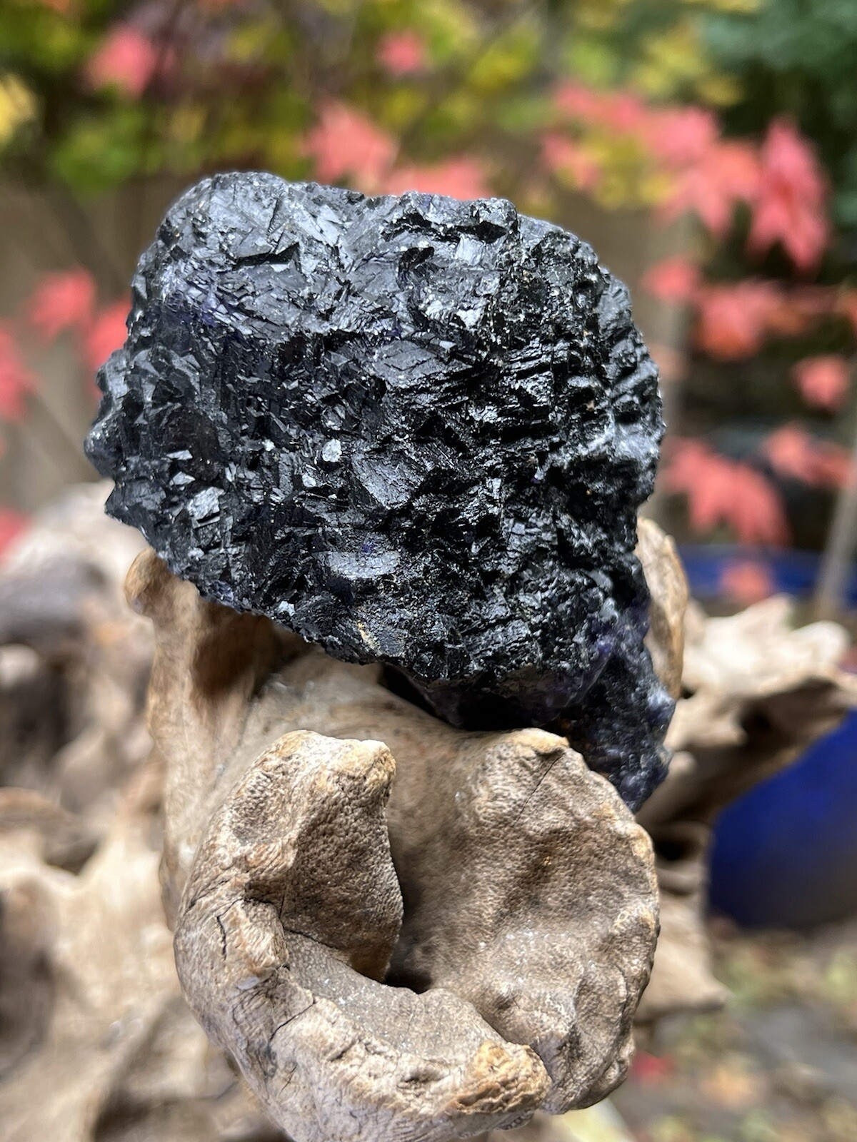 Blue John Fluorite Mineral Specimen United Kingdom 342g 8