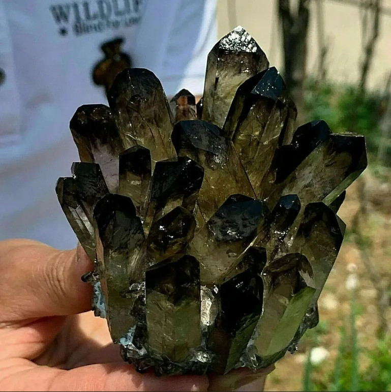 310g+ New Find Smoky Quartz Phantom Cluster Geode Quartz Crystal Ornaments Decor