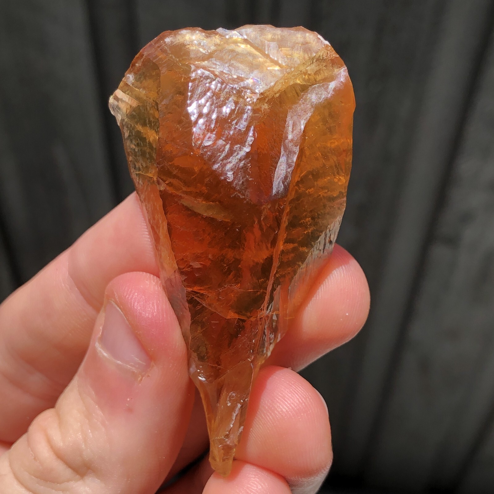6.8cm Golden Calcite Crystal from Rancho de Ballestero, Baja California, Mexico