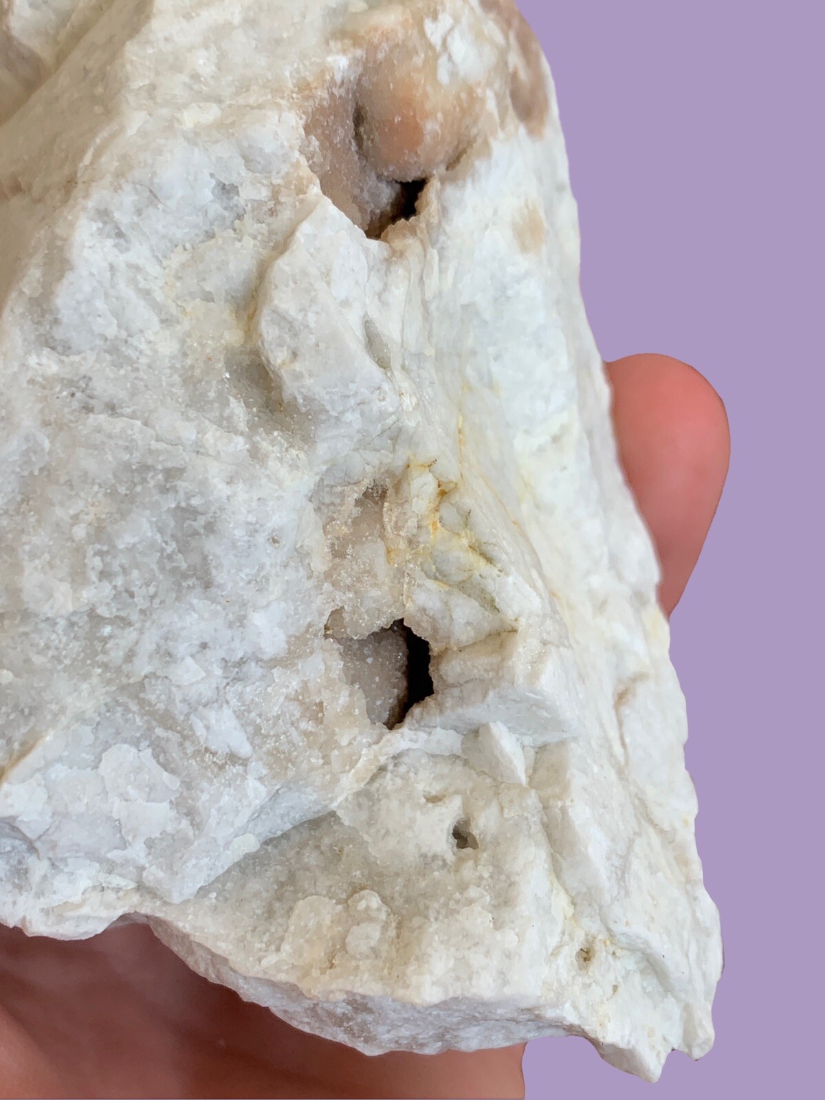 Quartz Crystal Specimen. Rocks Crystals Gemstones Minerals