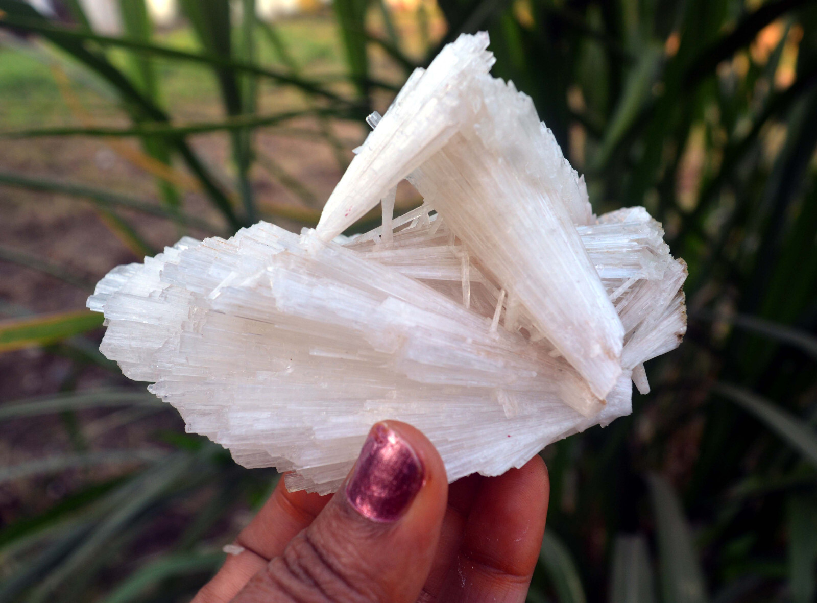 scolecite spray fromation minerals specimen j-6
