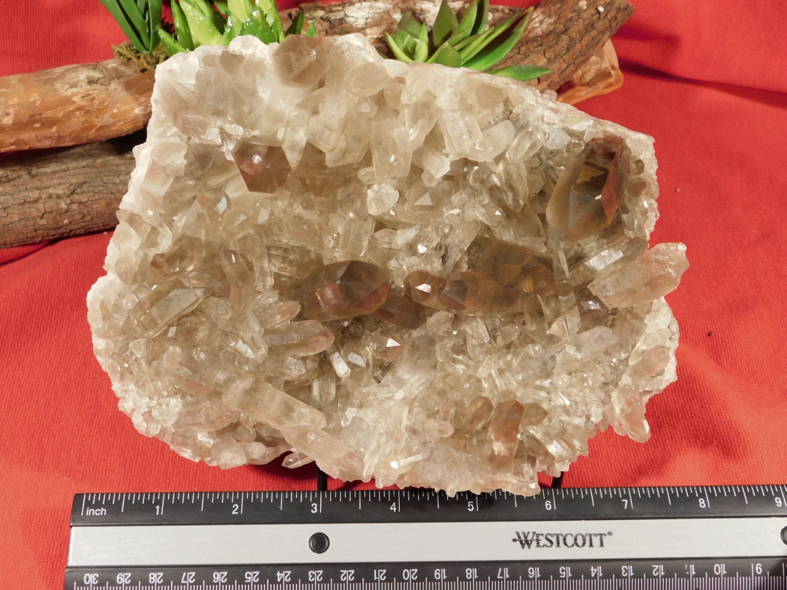 BIG! AAA SMOKY Quartz Crystal Cluster with Stand Brazil 1868gr