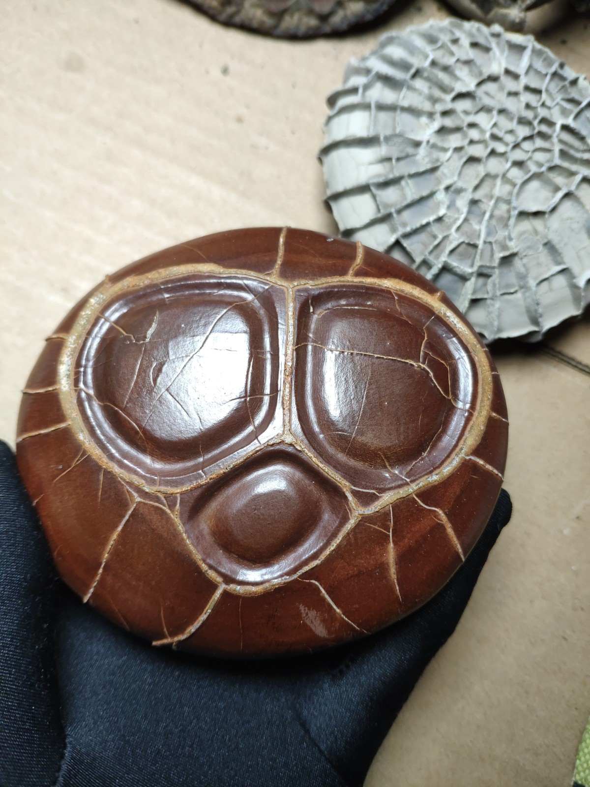 680g beautiful Natural tortoise back pattern stone Landscape stone