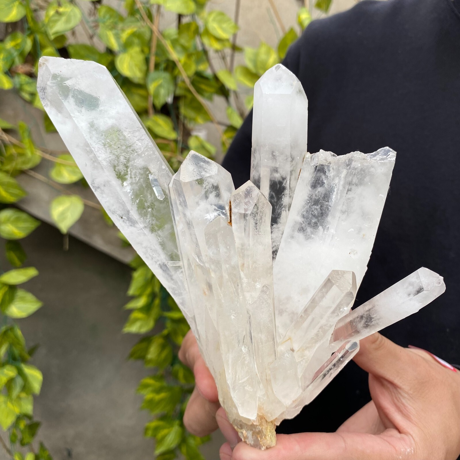 2.3lb Natural Clear White quart Crystal Cluster Raw Healing Specimen