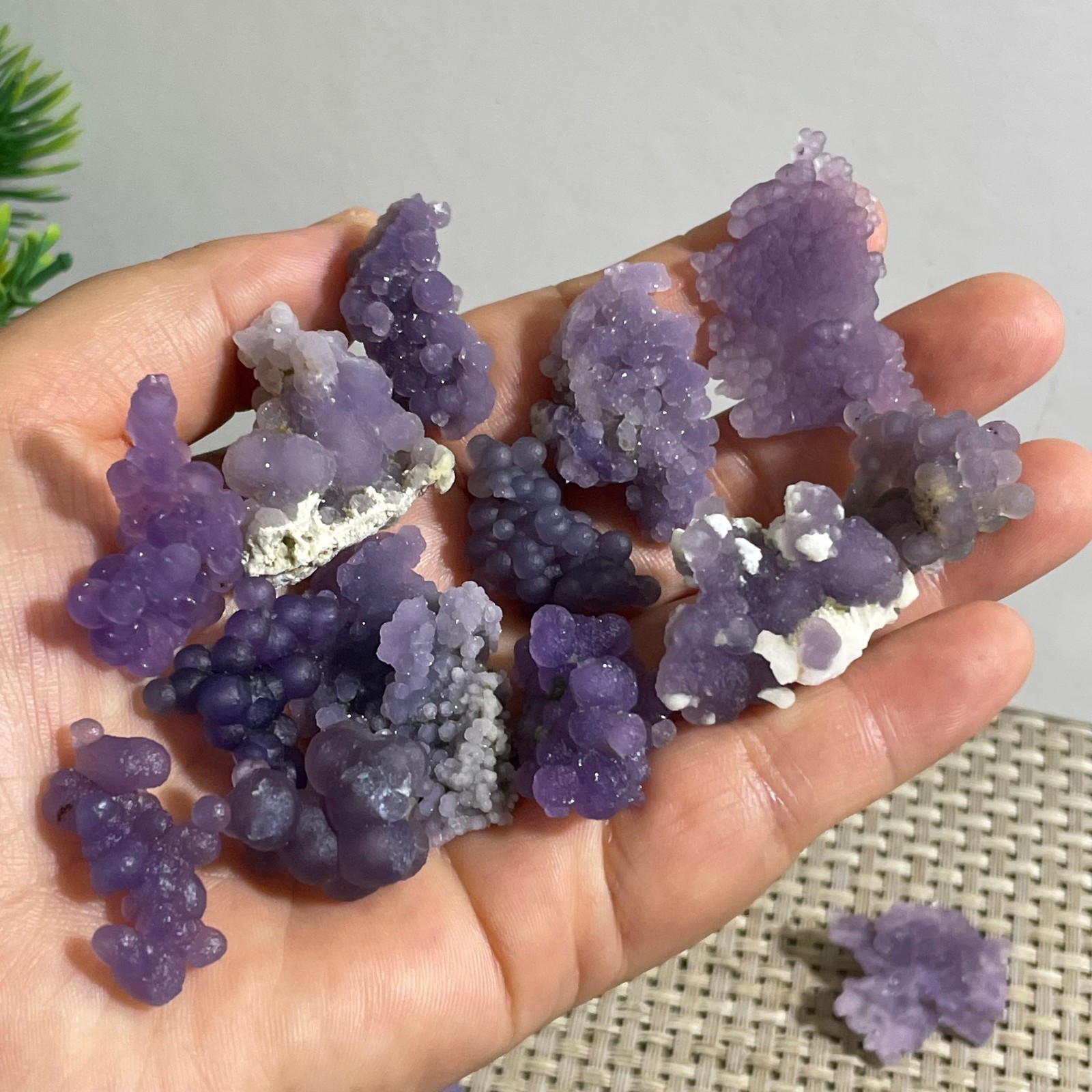 71g Purple stone, grape agate, quartz crystal, granular mineral 12pcs