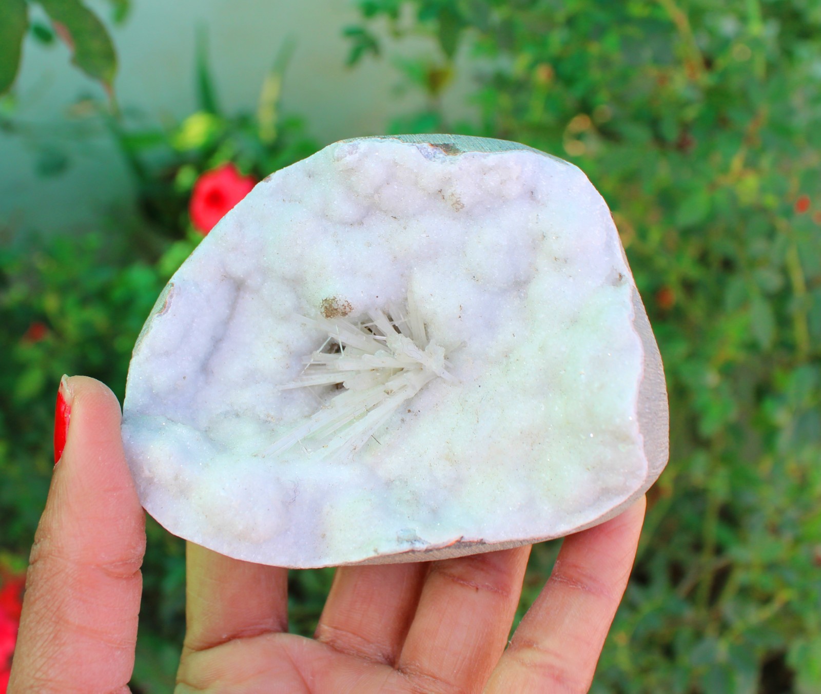 Scolecite In Milky Geode Minerals Specimen#A9