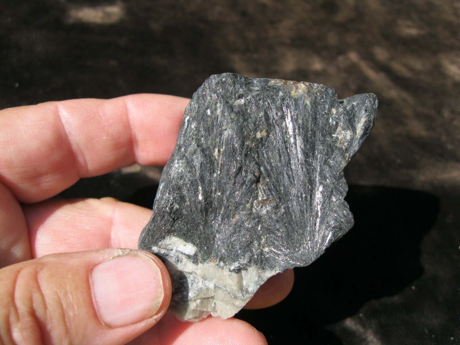 AEGERINE specimen Crystal, mineral 2 1/4 x 2 x 1″ 4.6 oz.