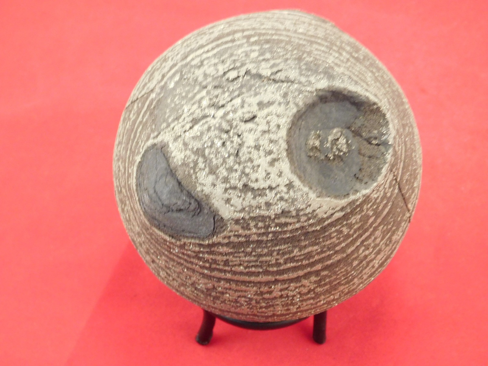 BIG! 100% Natural Ringed PYRITE Concretion From China! With Stand 1241gr