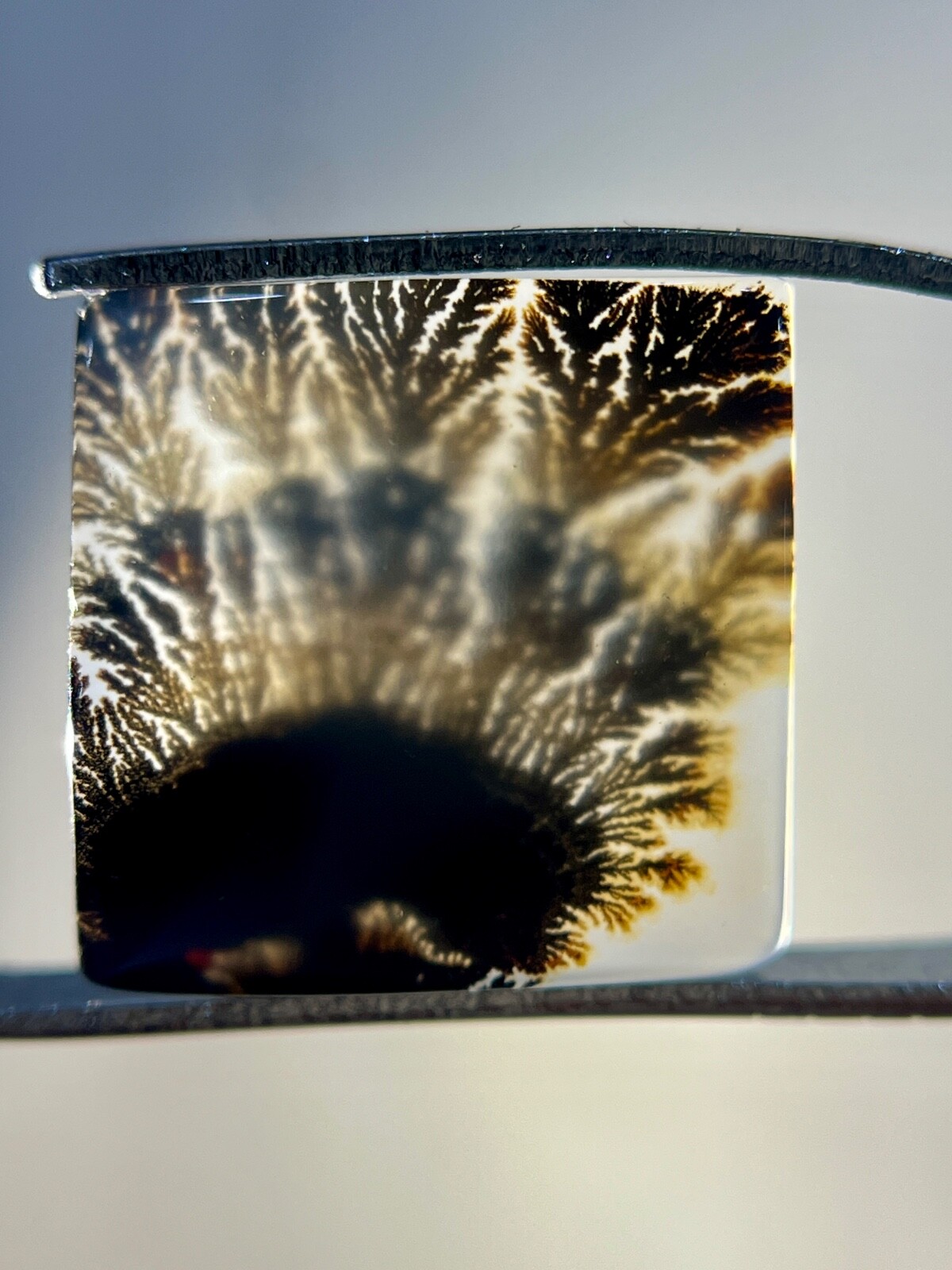 Scenic Dendritic Cabochon 8.50ct. Natural AAA Ring Size Loose Gemstone 15x15x3mm