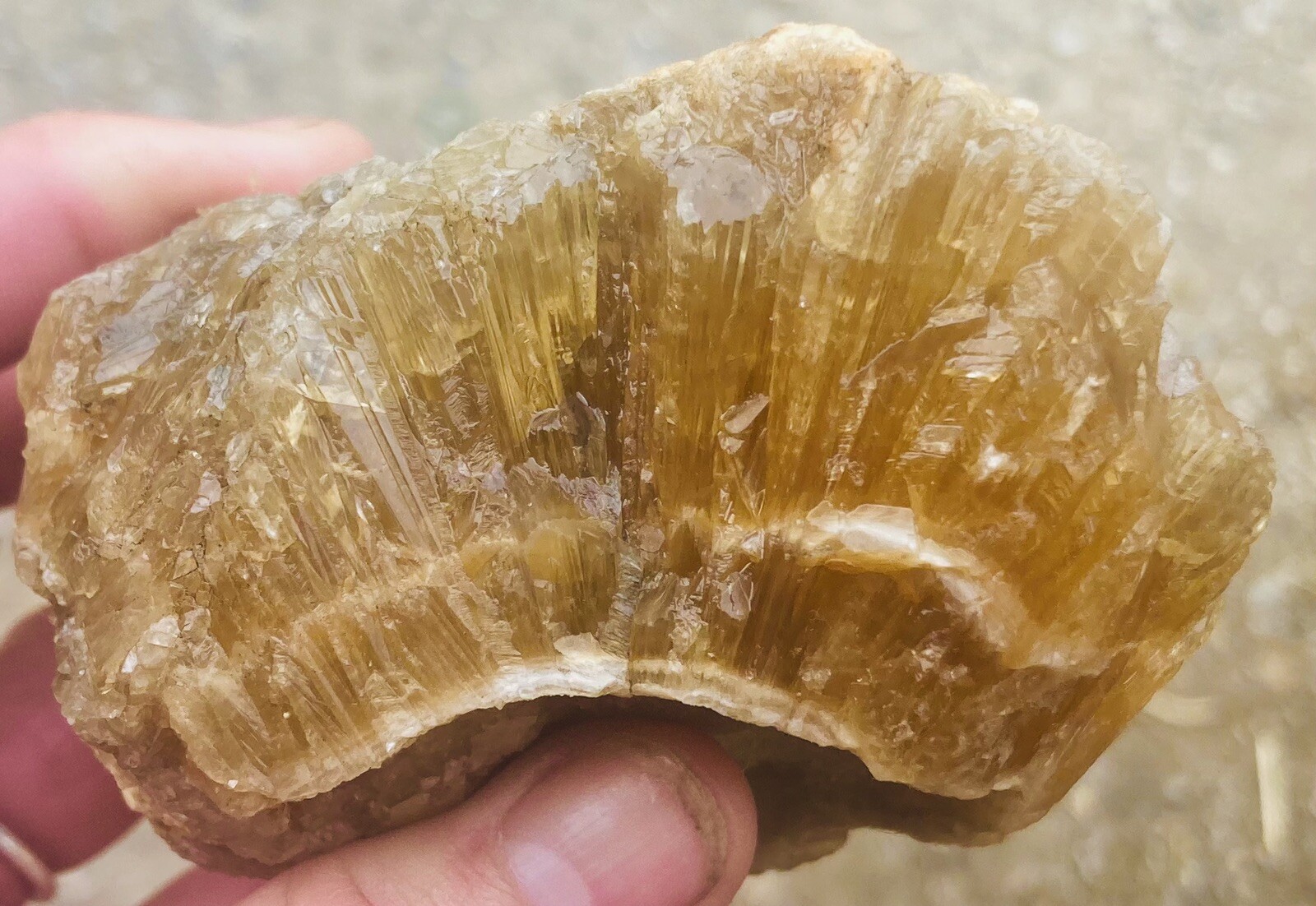 Stunning Golden Calcite Crystal From Custer County, Idaho-USA #37