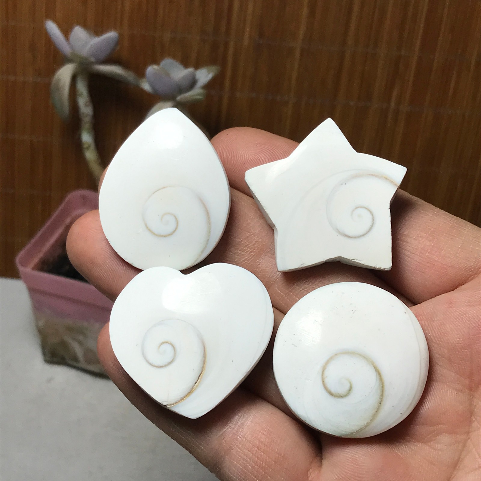 4Pcs Natural sun shell star Heart Reiki Shiva Eye ocean quartz carve A3331