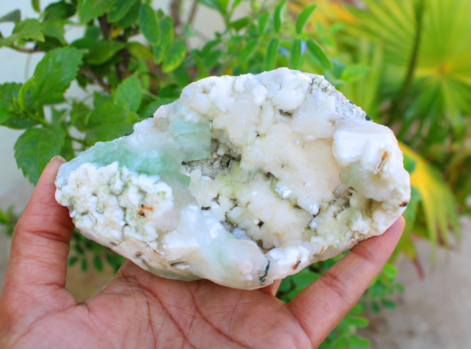 GREEN APOPHYLLITE CRYSTALS w/ HEULANDITE IN GEODE MINERALS SPECIMEN #A43